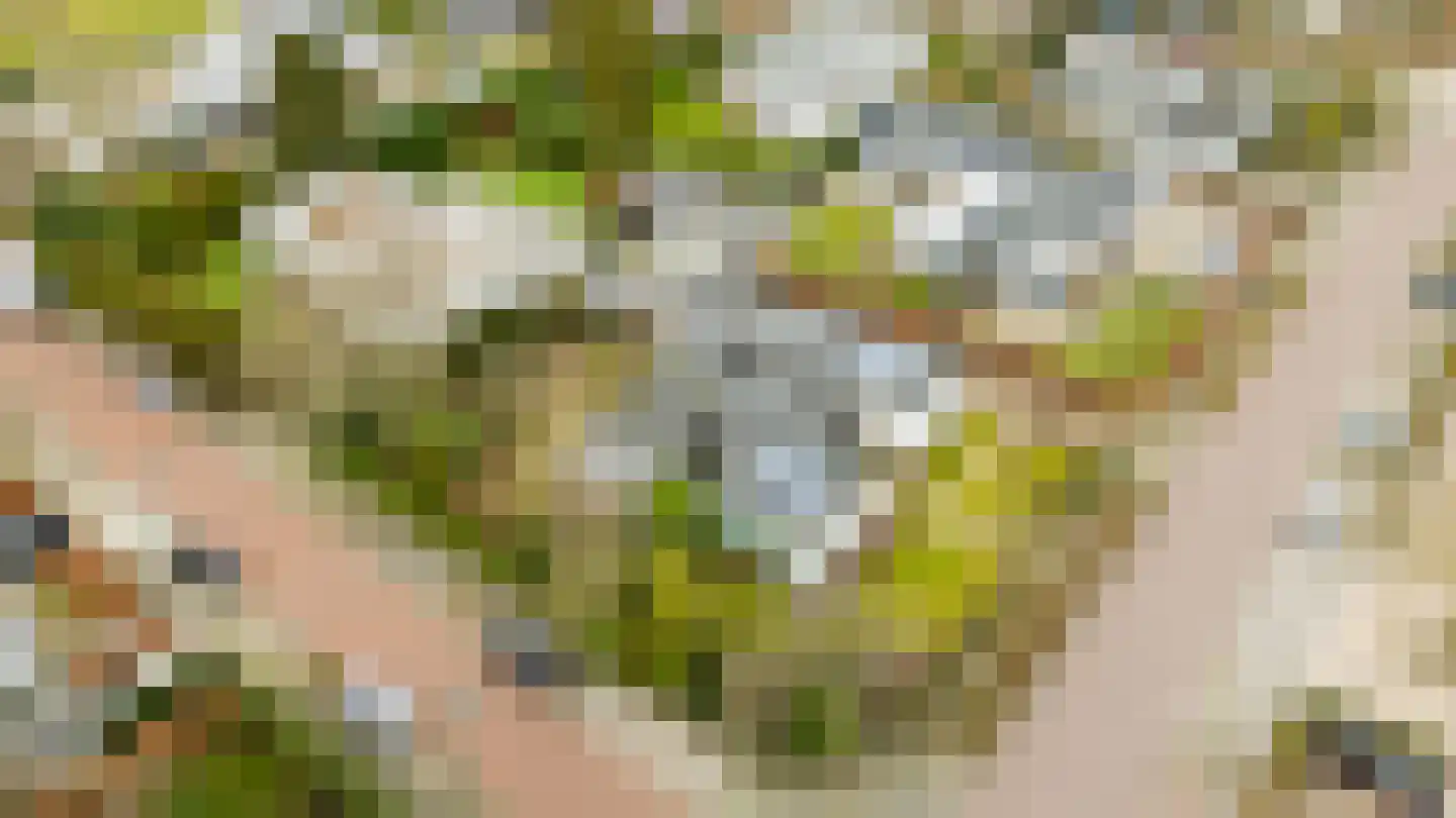 Slotlaan 20 Ulvenhout thumbnail 62