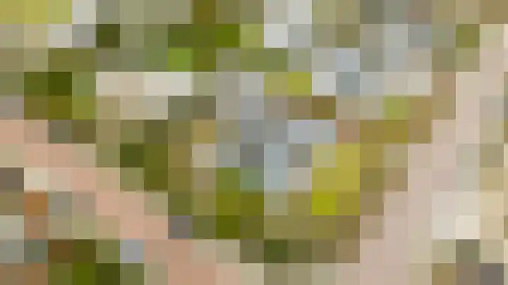 Slotlaan 20 Ulvenhout thumbnail 64