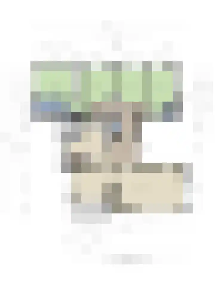 Slotlaan 20 Ulvenhout thumbnail 65