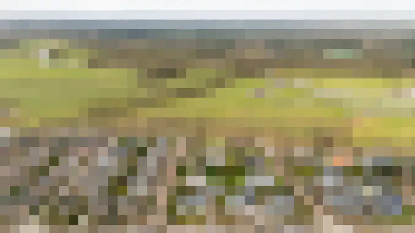 Slotlaan 20 Ulvenhout thumbnail 7