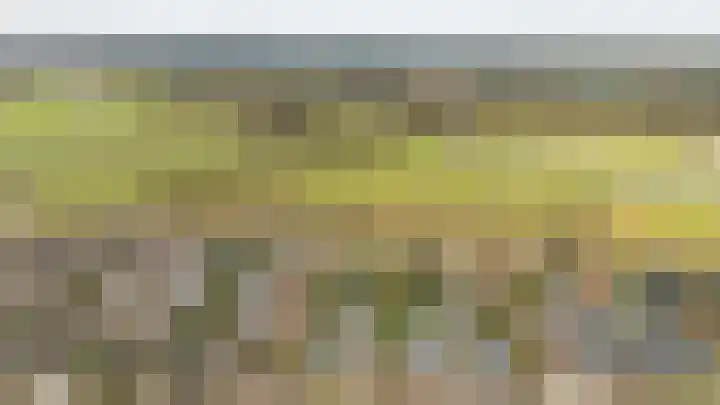Slotlaan 20 Ulvenhout thumbnail 7