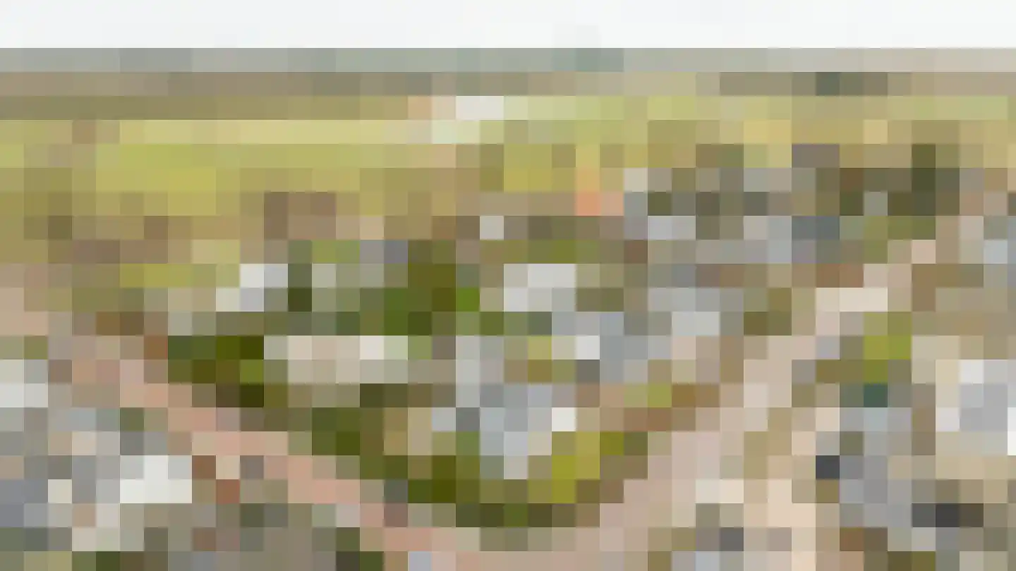 Slotlaan 20 Ulvenhout thumbnail 8