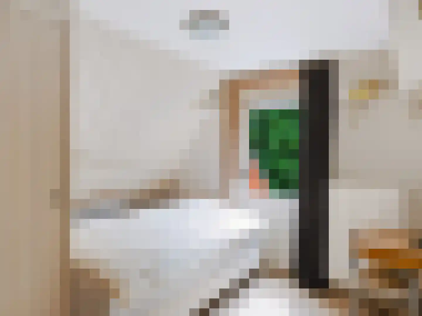 Slotlaan 21 Schoorl thumbnail 17