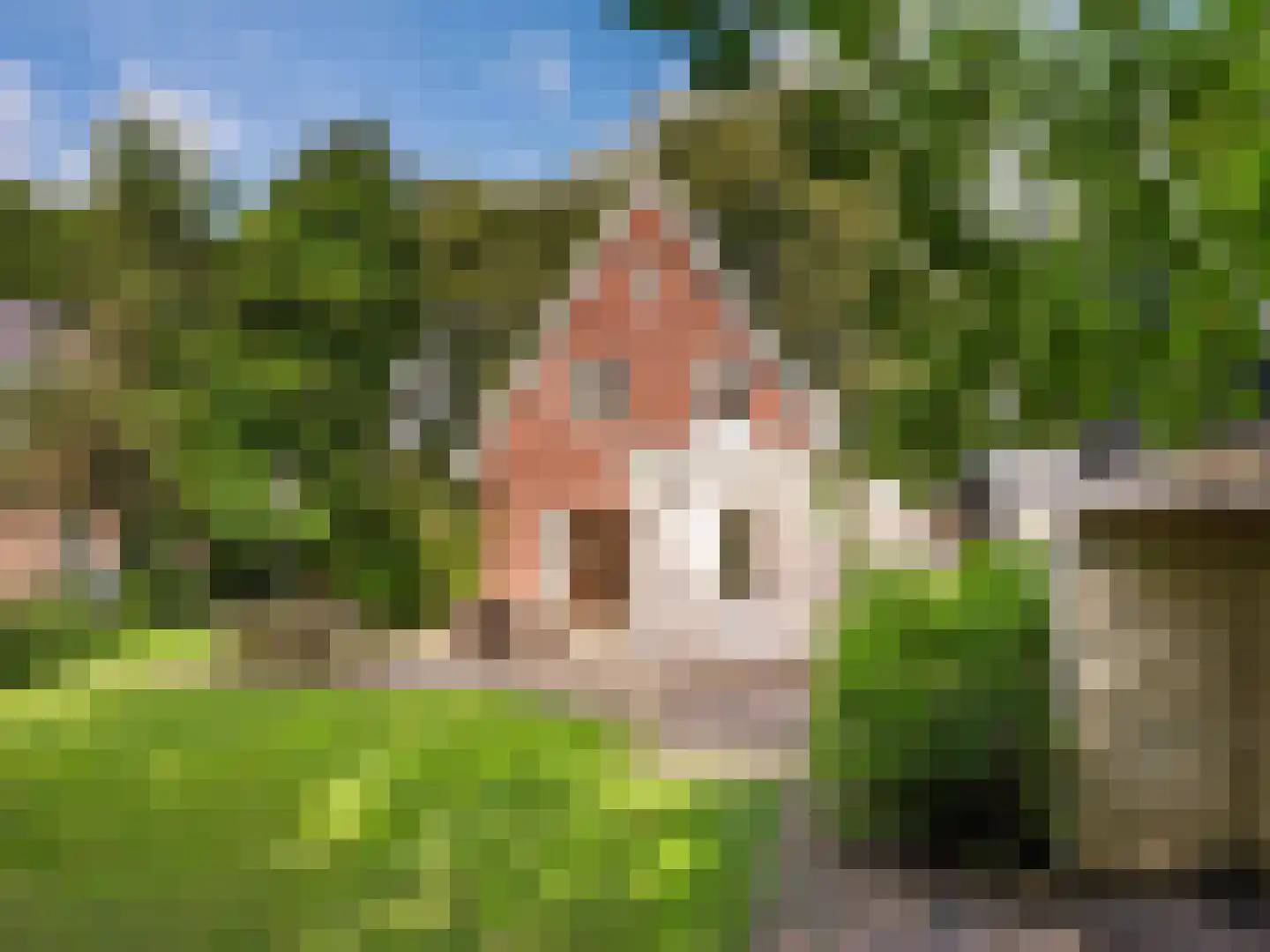 Slotlaan 21 Schoorl thumbnail 29