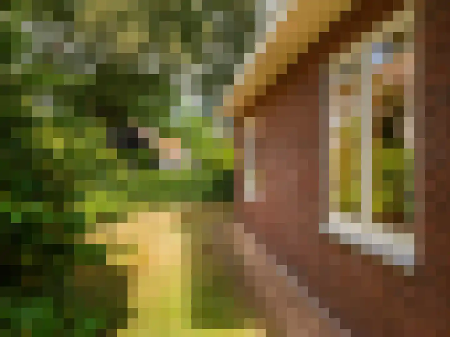 Slotlaan 21 Schoorl thumbnail 30