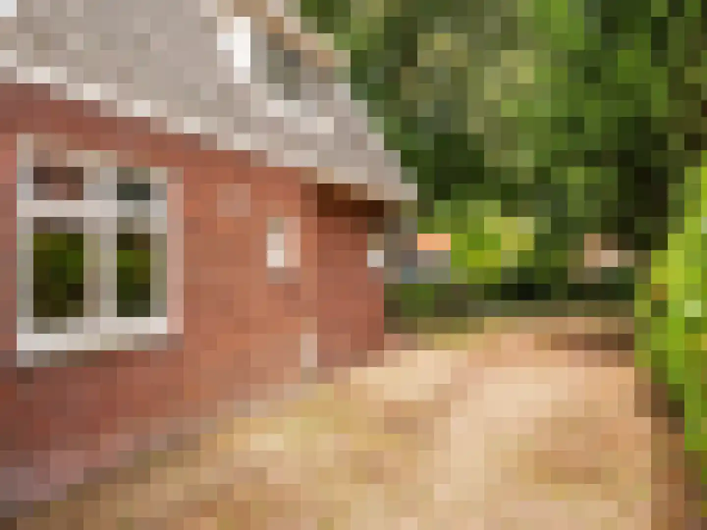 Slotlaan 21 Schoorl thumbnail 31