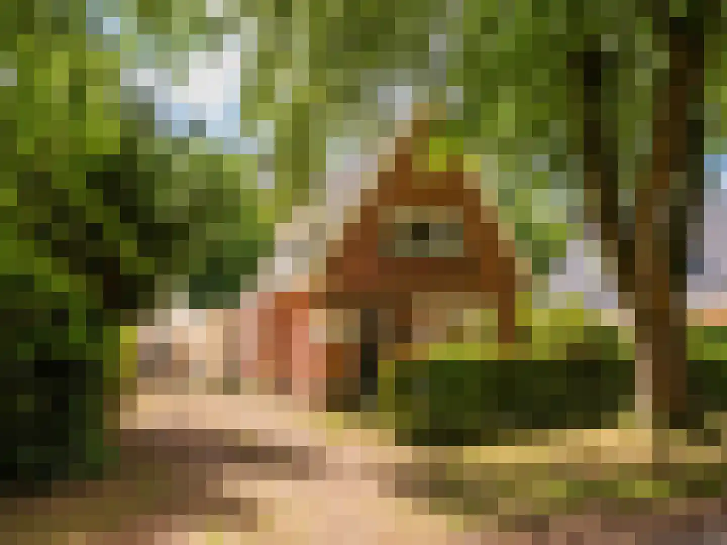 Slotlaan 21 Schoorl thumbnail 32