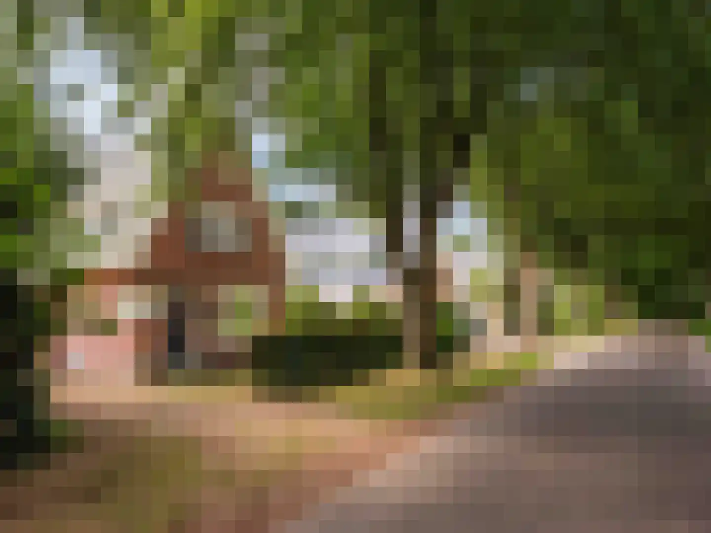 Slotlaan 21 Schoorl thumbnail 33