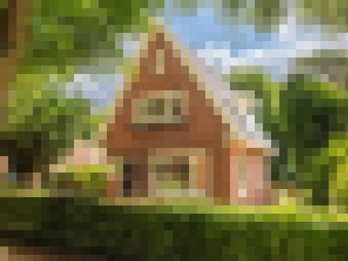 Slotlaan 21 Schoorl thumbnail 34
