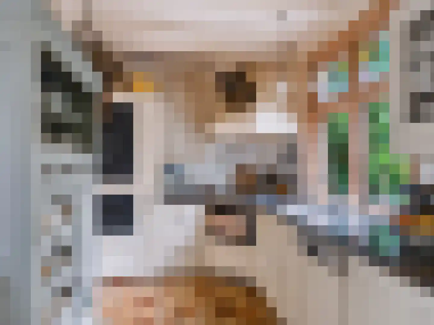 Slotlaan 21 Schoorl thumbnail 9