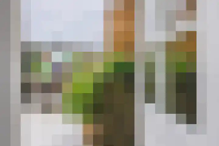 Slotlaan 219 3 Zeist thumbnail 14