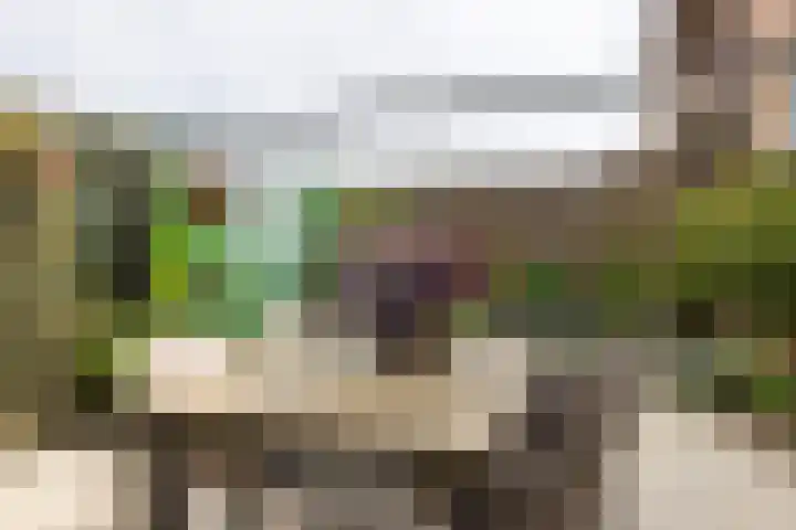 Slotlaan 219 3 Zeist thumbnail 15