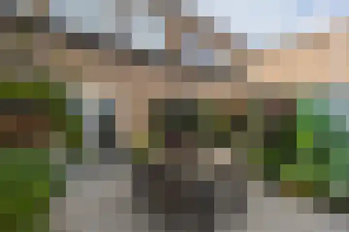 Slotlaan 219 3 Zeist thumbnail 16