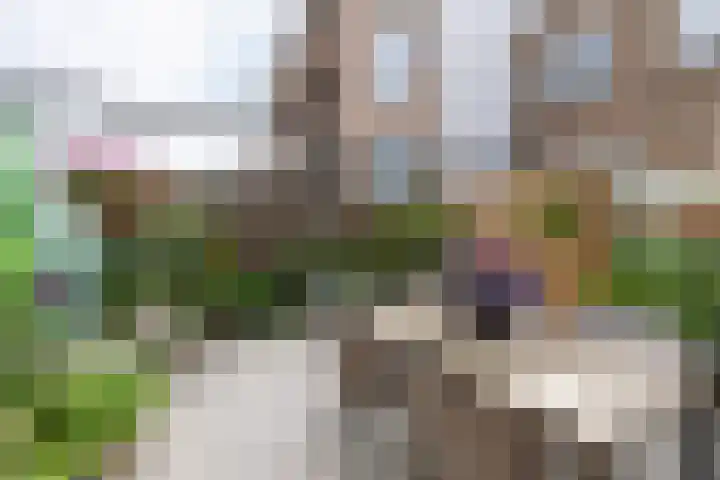 Slotlaan 219 3 Zeist thumbnail 27