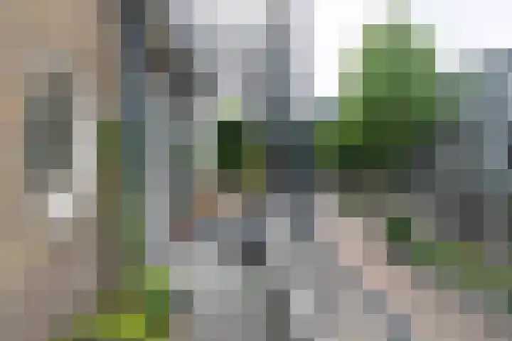 Slotlaan 219 3 Zeist thumbnail 28
