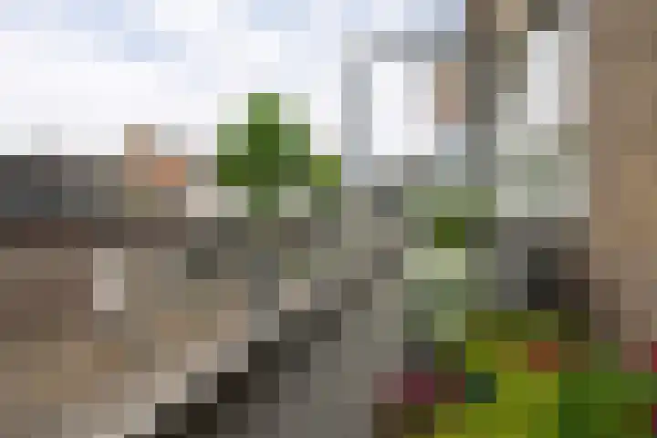 Slotlaan 219 3 Zeist thumbnail 29