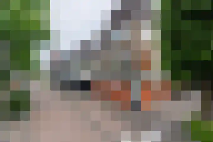 Slotlaan 219 3 Zeist thumbnail 30