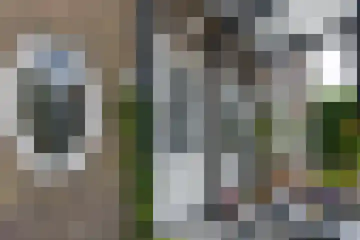 Slotlaan 219 3 Zeist thumbnail 5