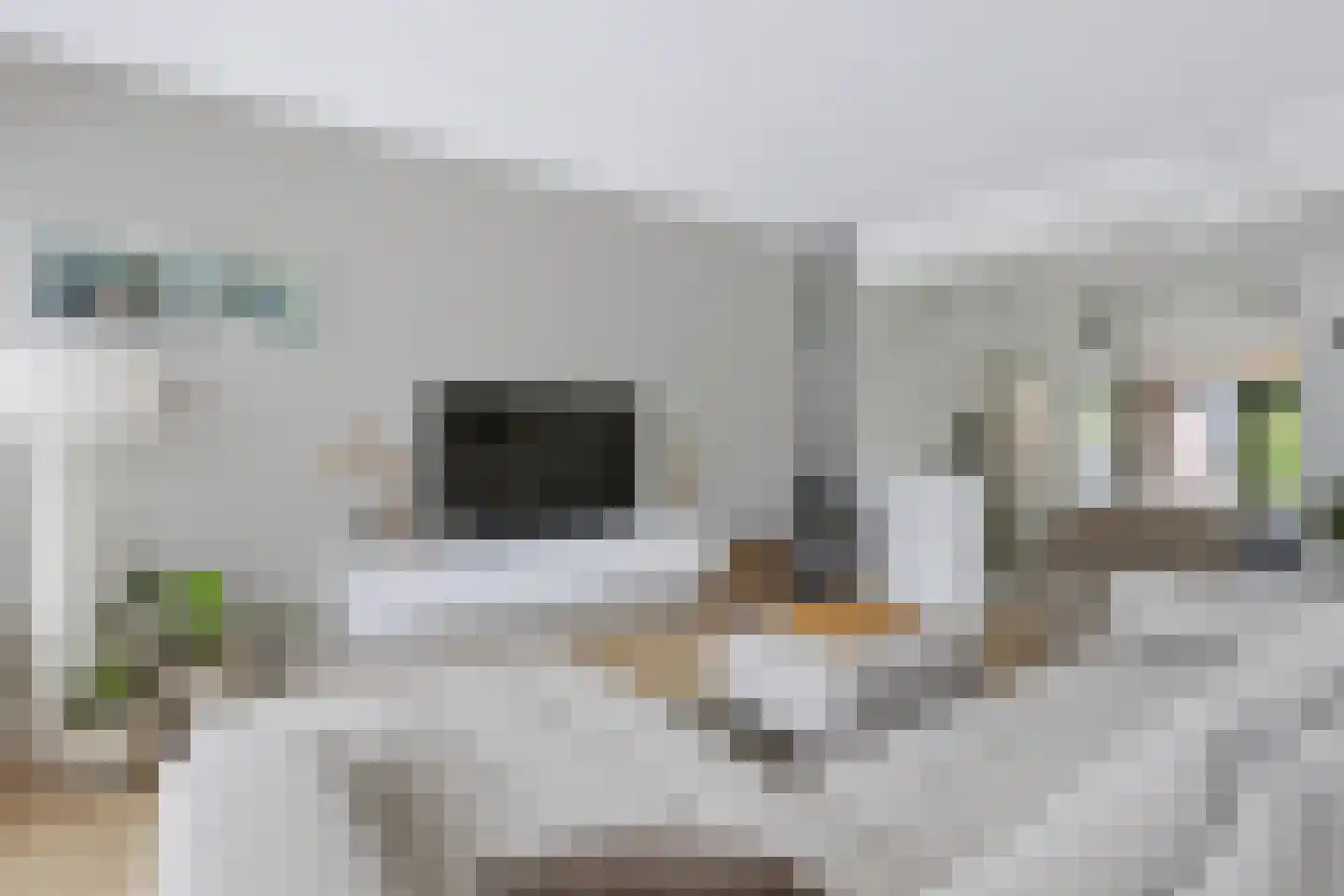 Slotlaan 22 Doetinchem thumbnail 12