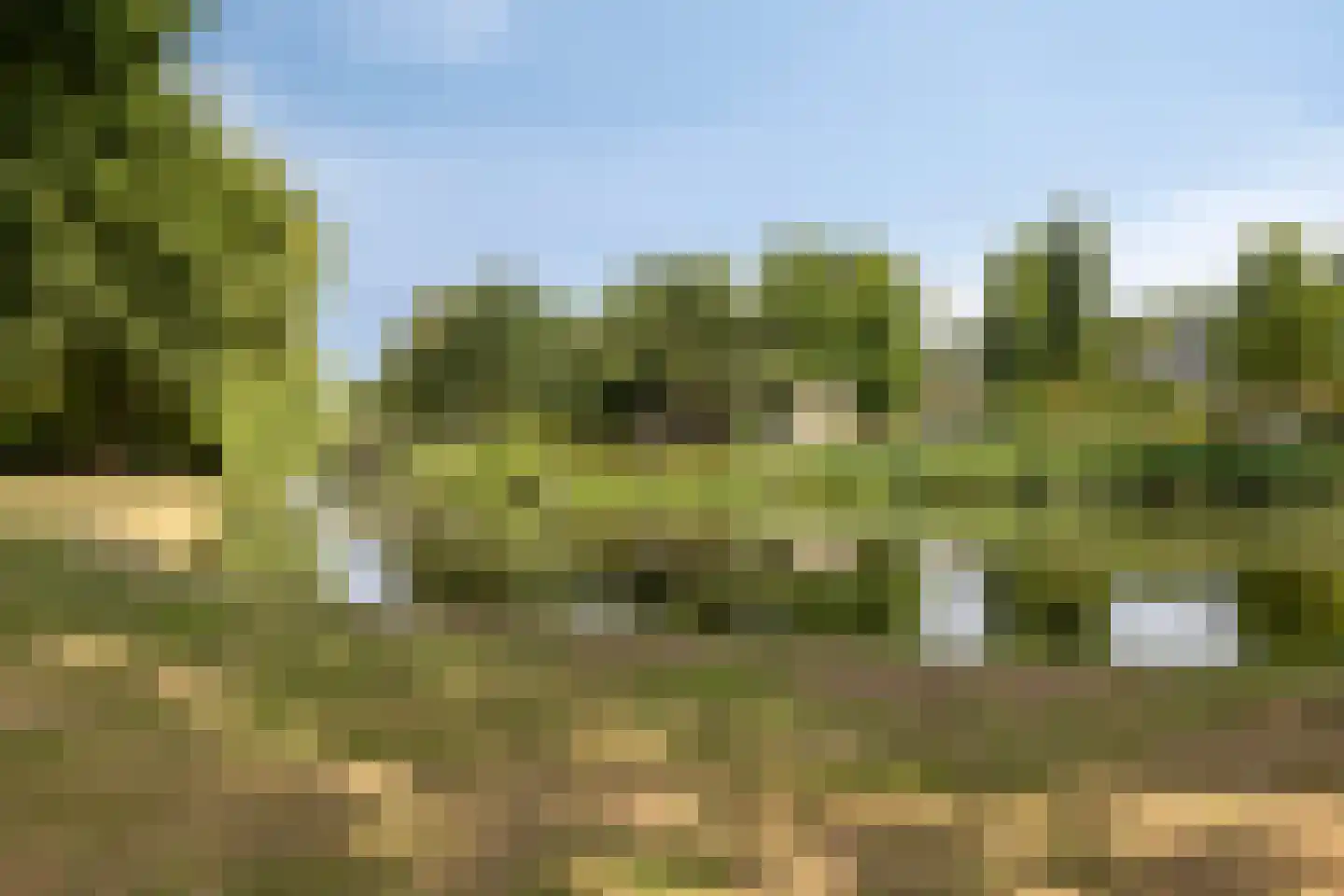 Slotlaan 22 Wervershoof thumbnail 32