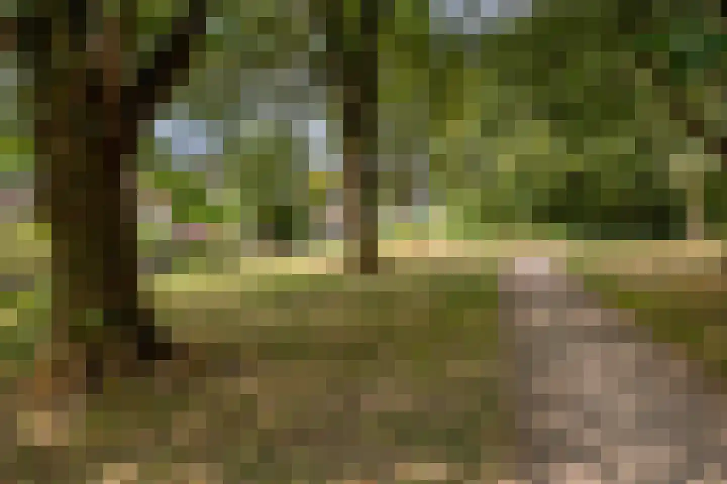 Slotlaan 22 Wervershoof thumbnail 33