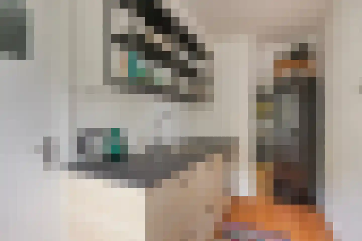 Slotlaan 23 Capelle aan den IJssel thumbnail 4