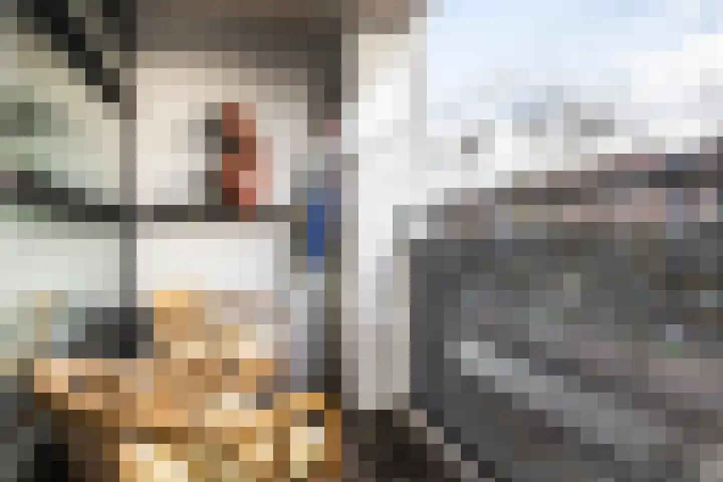 Slotlaan 233 1 Zeist thumbnail 17