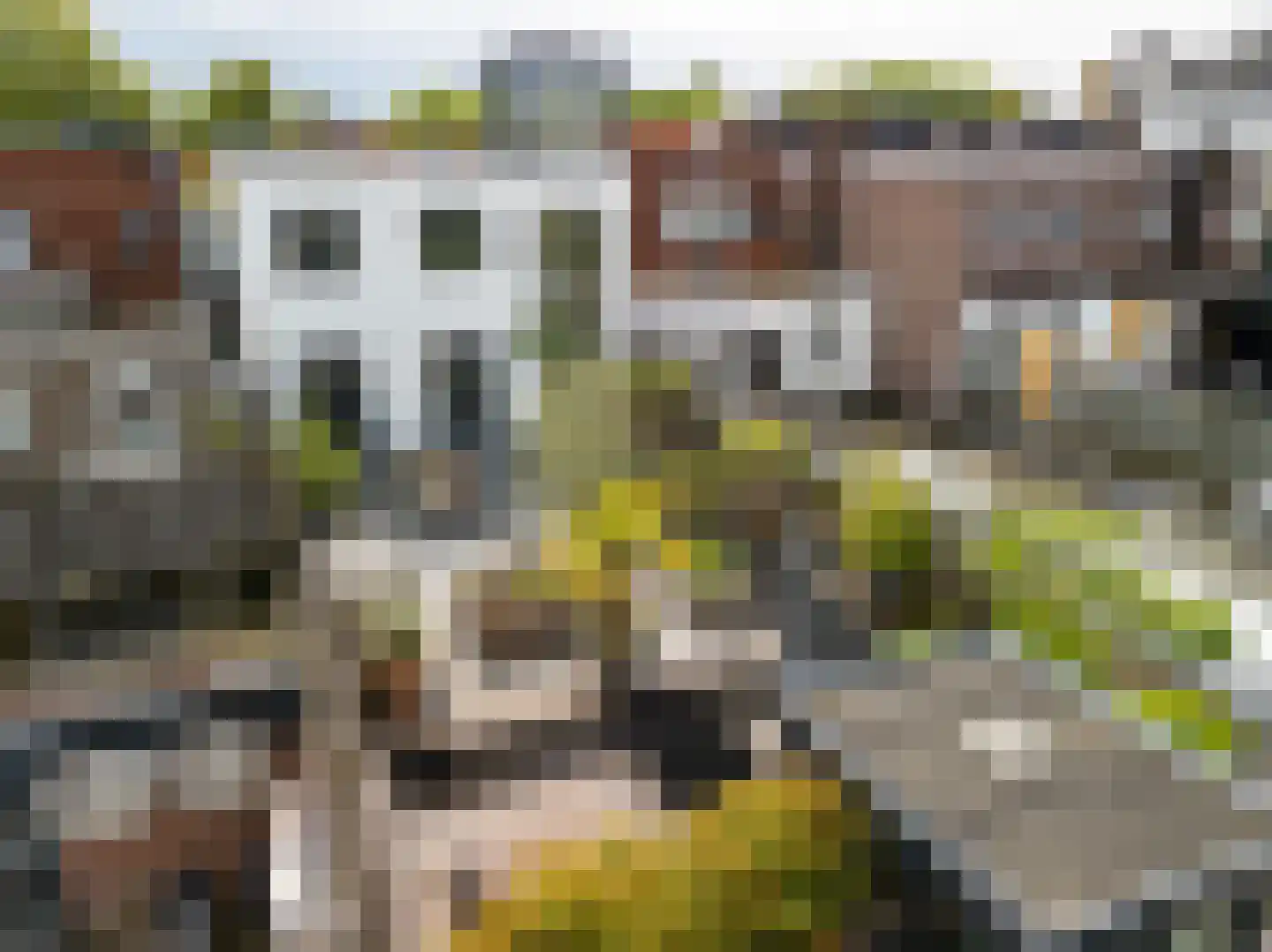 Slotlaan 233 1 Zeist thumbnail 52