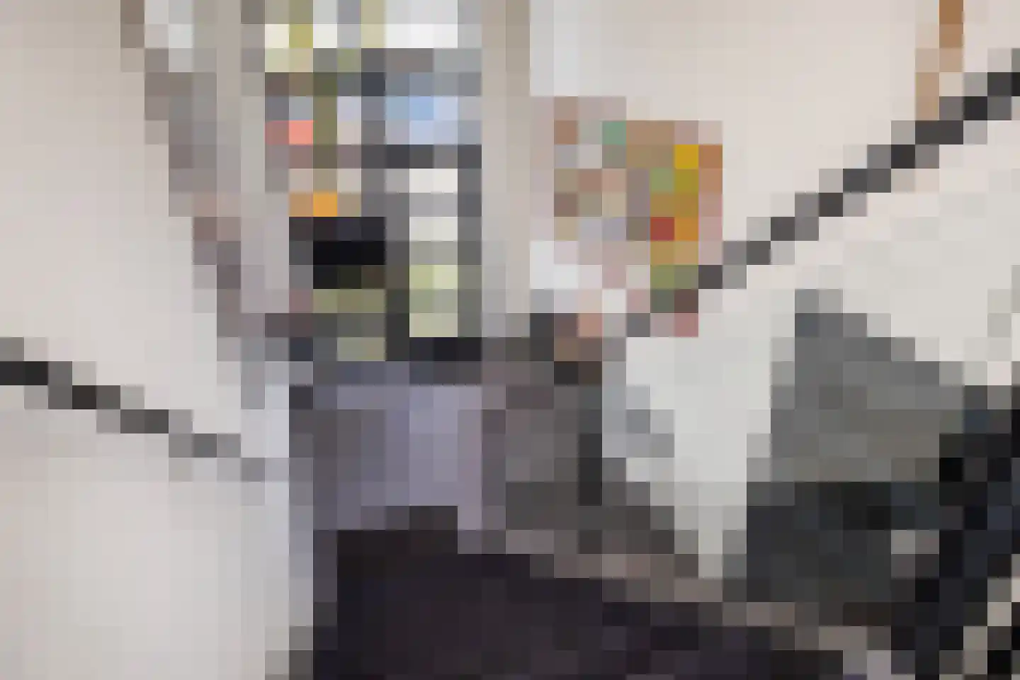 Slotlaan 233 1 Zeist thumbnail 6