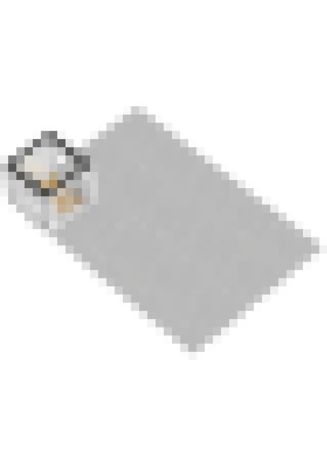 Slotlaan 233 1 Zeist thumbnail 66
