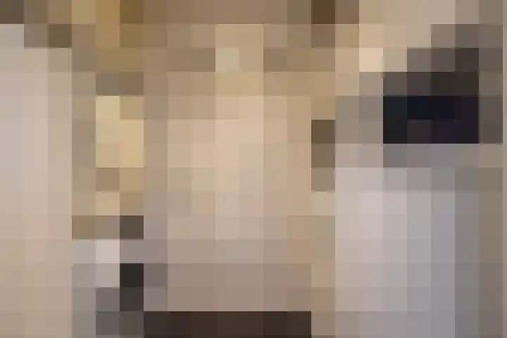 Slotlaan 24 Doetinchem thumbnail 16