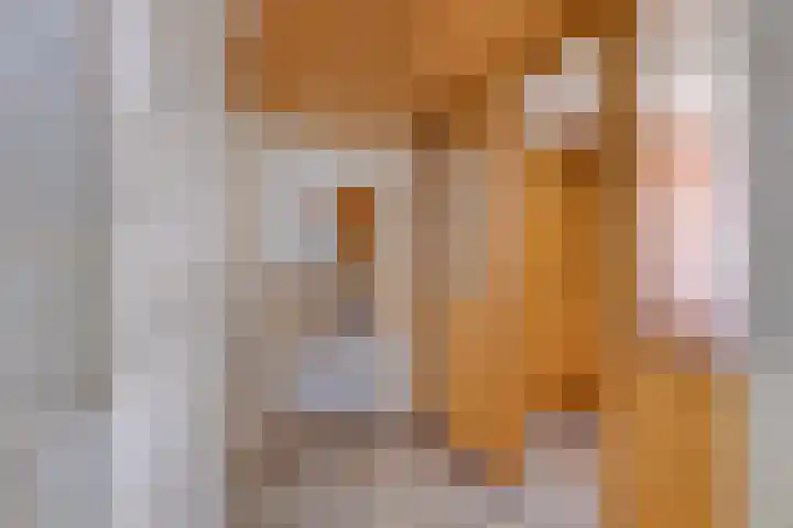 Slotlaan 25 Utrecht thumbnail 12
