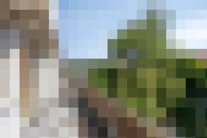 Slotlaan 25 Utrecht thumbnail 21