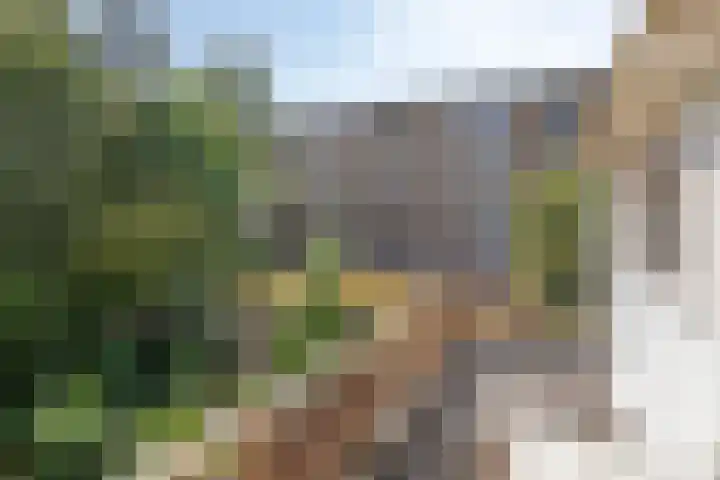 Slotlaan 25 Utrecht thumbnail 22