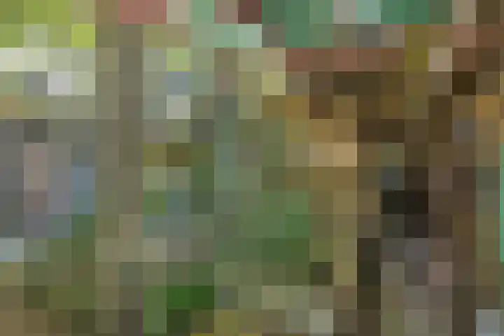 Slotlaan 25 Utrecht thumbnail 32