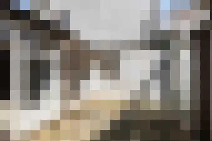 Slotlaan 25 Utrecht thumbnail 33