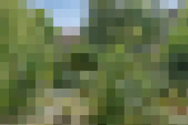 Slotlaan 25 Utrecht thumbnail 35