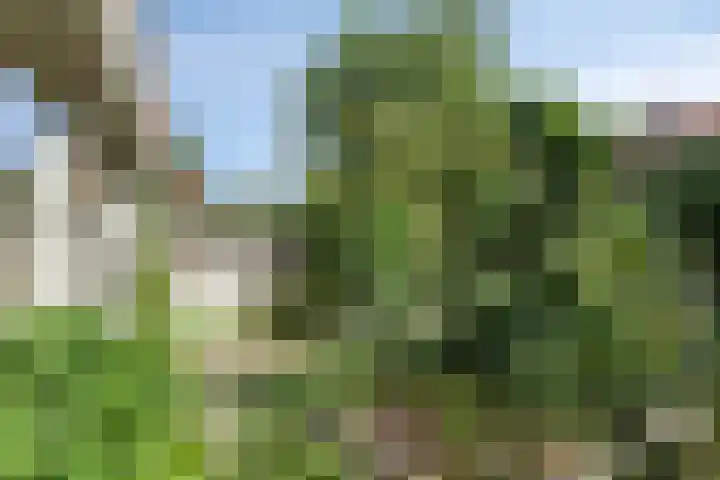 Slotlaan 25 Utrecht thumbnail 36