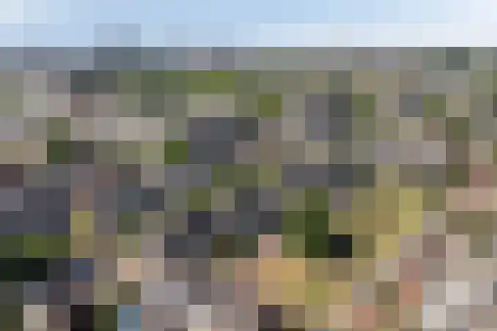 Slotlaan 25 Utrecht thumbnail 46