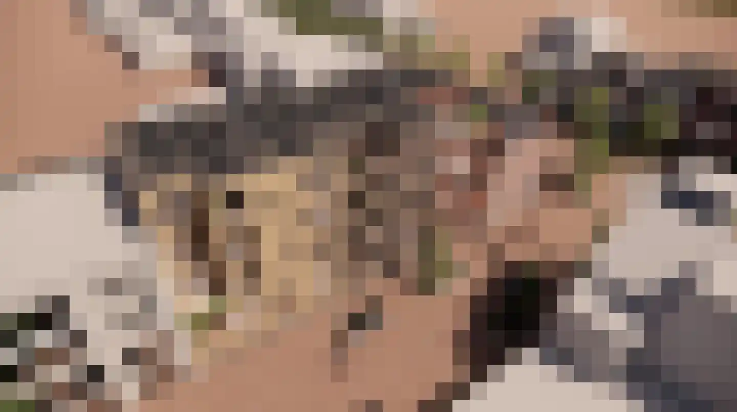 Slotlaan 255 Zeist thumbnail 5