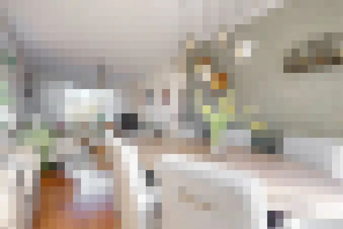 Slotlaan 26 Wervershoof thumbnail 9