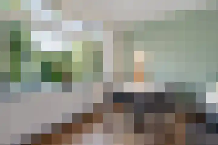 Slotlaan 279 1 Zeist thumbnail 10