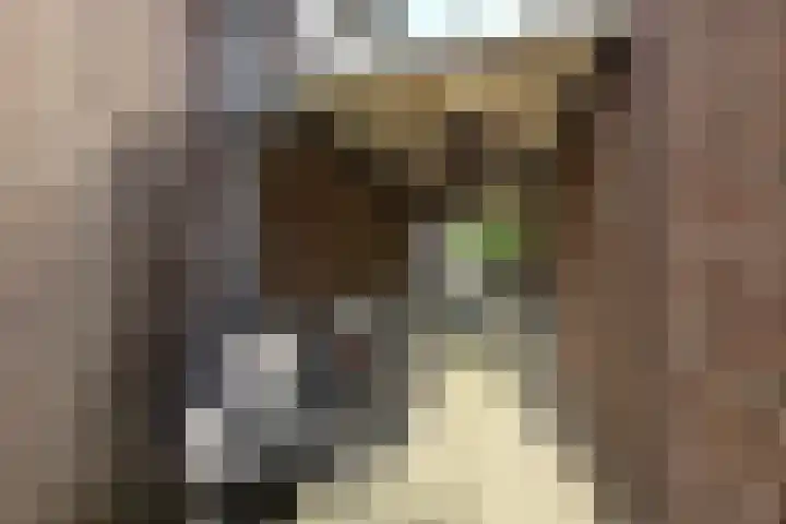 Slotlaan 279 1 Zeist thumbnail 27