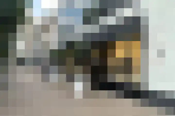 Slotlaan 279 1 Zeist thumbnail 30