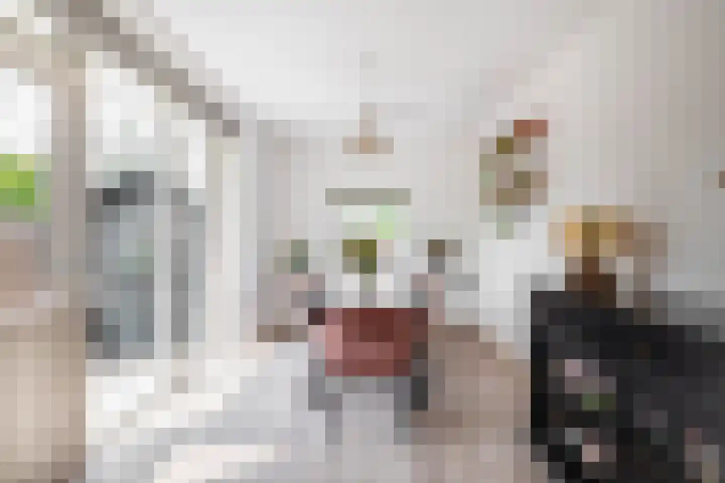 Slotlaan 3 Capelle aan den IJssel thumbnail 13