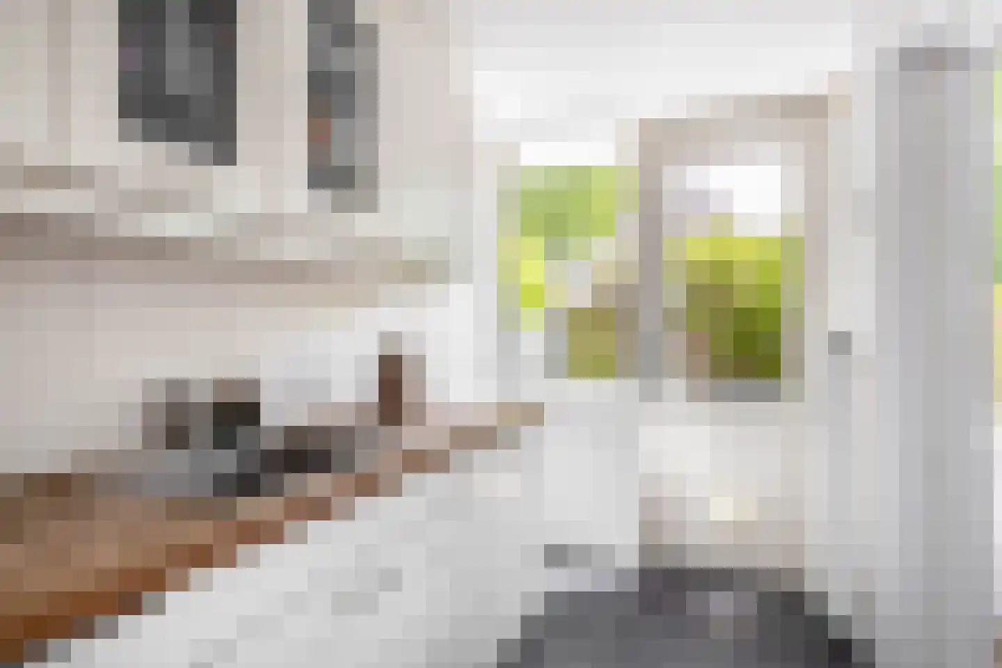 Slotlaan 3 Capelle aan den IJssel thumbnail 20