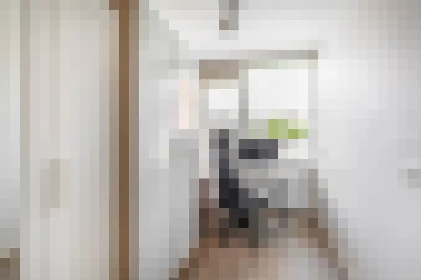 Slotlaan 3 Capelle aan den IJssel thumbnail 31