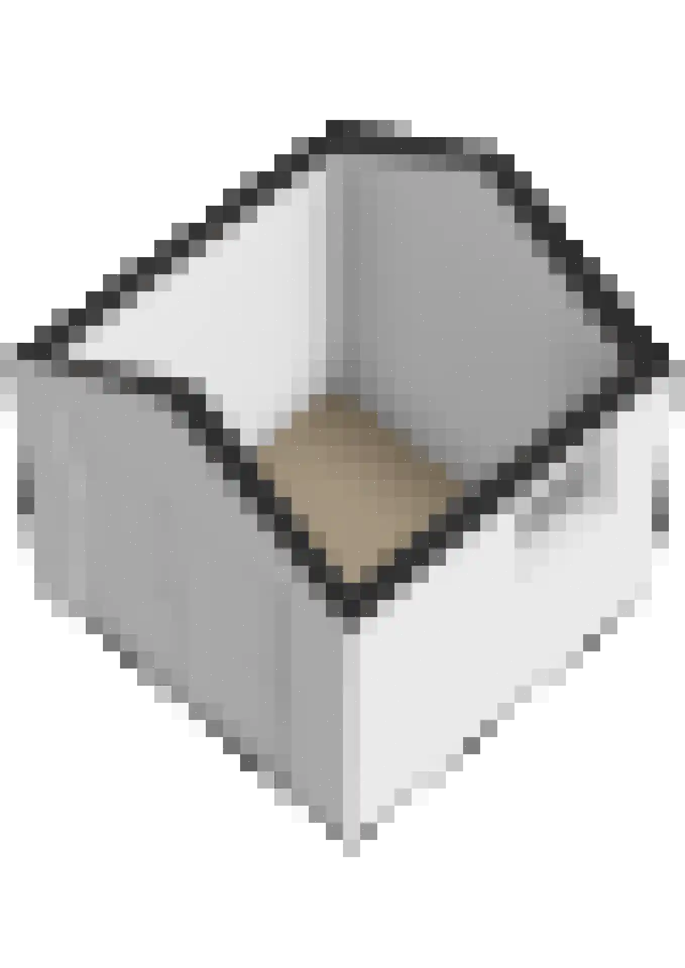 Slotlaan 3 Capelle aan den IJssel thumbnail 48