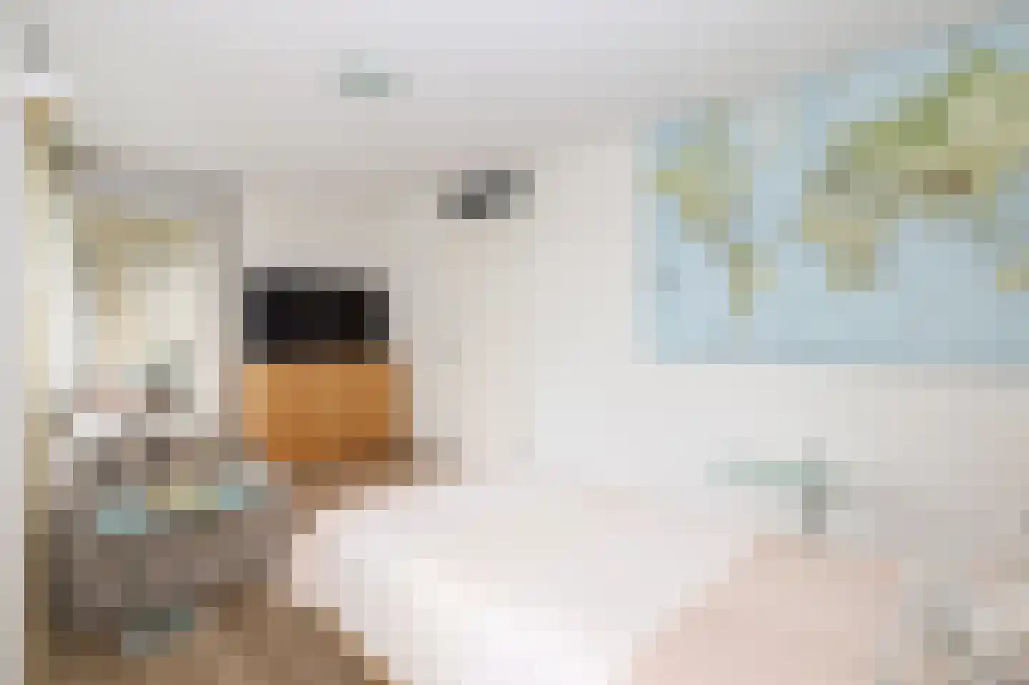 Slotlaan 3 Oostvoorne thumbnail 31
