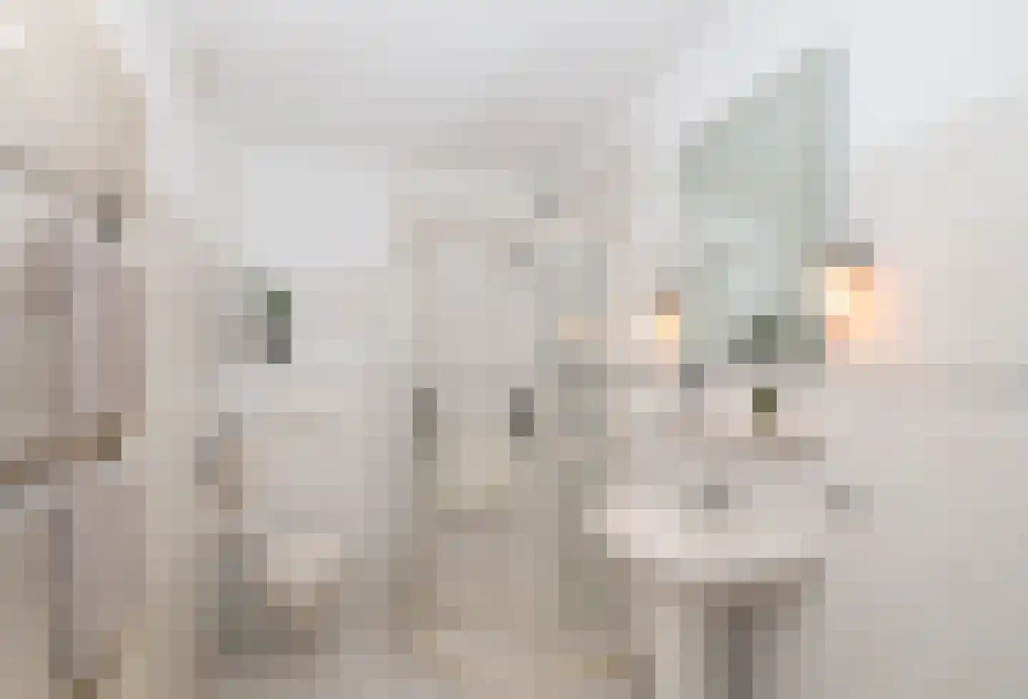 Slotlaan 3 Oostvoorne thumbnail 32